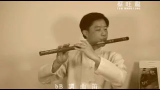 新鴛鴦蝴蝶夢／Alto bB Chinese Bamboo Flute／DiZi／bB調曲笛吹