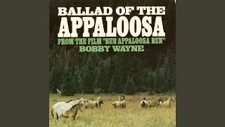Ballad Of The Appaloosa