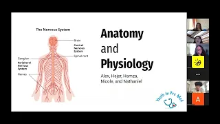 3/10/2024 Youth in Pre Med -- Anatomy and Physiology