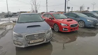 Subaru levorg GT-S Отзывы владельца.