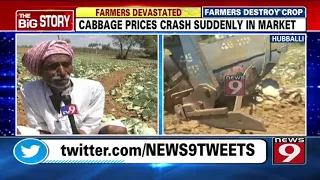 Hubballi Farmers destroy their cabbage crop due to fall in price