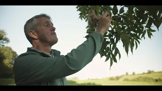 Ireland’s Native Trees - EPISODE 10 COMMON ASH