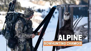 We risk our lives to recover the chamois 😰: Bowhunting chamois on ski!