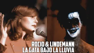 ROCIO & LINDEMANN: La gata bajo la lluvia | Parodia