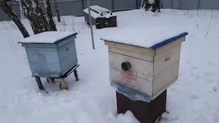 Летки На Ульях Завалило Снегом.Что Делать?