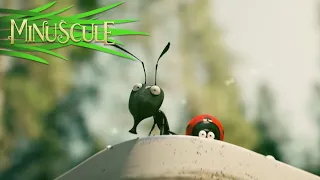 Minuscule Valley of the Lost Ants - Official Trailer