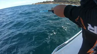 Fishing and Squidding at Port Kembla