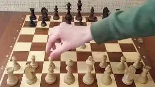 20 секунд и вы победитель! эту опасную ловушку боятся 90% шахматистов! шахматы ловушки!