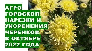 Агрогороскоп нарезки и укоренения черенков растений в октябре 2022 года