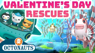 ​@Octonauts - Valentine's Day Rescues 💝⛑️🛟 | 50 Mins Compilation | Underwater Sea Education