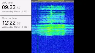 The Buzzer/UVB-76(4625Khz) March 10, 2021 Voice messages