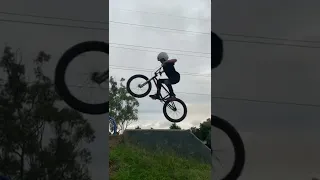 BMX2