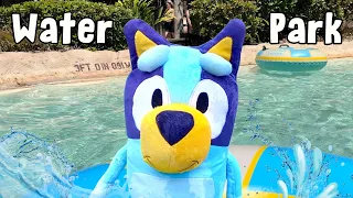 Bluey Water Park Adventure! Baby Bluey - The Pool! Bluey Toys Pretend Play