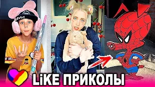 ЛУЧШИЕ ВИДЕО ЛАЙК 2019 Подборка | ПРИКОЛЫ Like Самые Няшные и Прикольные Видео