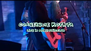 Солнечные Котята — Live @ More Music Club