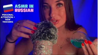 ASMR| Russian Whispers and Personal Attention NEW Triggers  🇷🇺 Асмр на русском