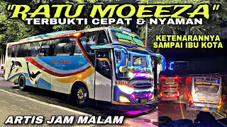 Artis Jam Malam 🔥 Terbukti Cepat & Nyaman ❗️| trip Sumber Selamat W 7295 UP “ Ratu Moeeza “