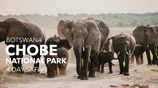 Botswana Chobe National Park: The Land of a Million Elephants (photography vlog)