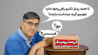 ENG Sub-آزمایش گربه شرودینگر اون چیزی نیست که شما فکر می‌کنید Schrodingers cat is not what you think