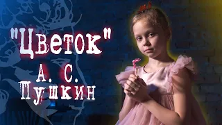 🌺 ЦВЕТОК | А. С. Пушкин | Стихотворение