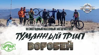 Воробей 2022 или VIII Туманный трип. Массовое вело покорение хребта Большой Воробей на высоту 1240м