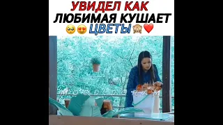 Увидел как любимая кушает цветы/Волны жизни