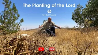 Bishop Robert Stearns "The Planting of the Lord" sermon 8 28 22 in 4k