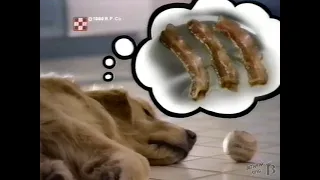 Beggin' Strips Dog Treat Commercial 1999
