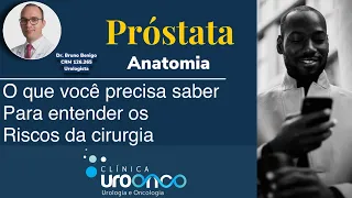 Anatomia da próstata. Por que é importante para entender os riscos relacionados à cirurgia?