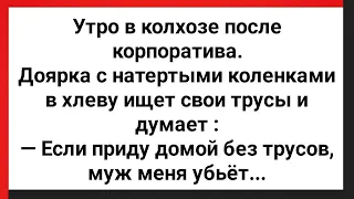 Утро в Колхозе После Корпоратива! Доярка Потеряла Трусы! Сборник Свежих Анекдотов! Юмор!