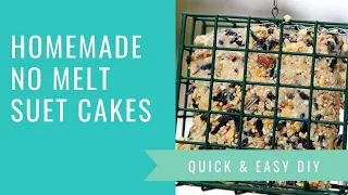 DIY Suet Cakes