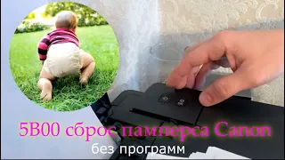 Canon ошибка 5B00 сброс памперса без программ