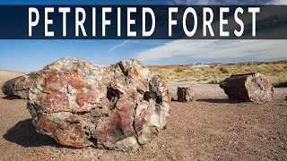 Backpacking the Petrified Forest National Park & the Painted Desert