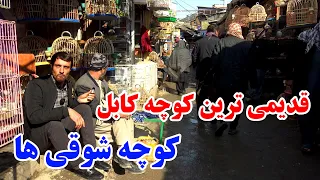 کوچه کاه فروشی مشهور به کوچه شوقی ها ٫ تاریخی ترین بازار٫ شکست بند های ظالم که ادعا داکتر بودن دارند