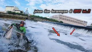 viral..😱!! jala ikan di bawah bendungan di air yang berbusa‼️net fishing