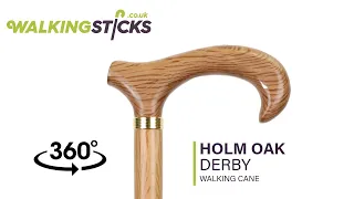 Holm Oak Derby Walking Cane
