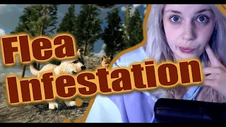 Wolf Quest Update! Flea Infestation! Pissing Simulator Part 3