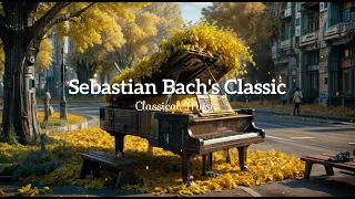Sebastian Bach: A Symphony of Timeless Beauty | Sebastian Bach's Melodic Masterpiece