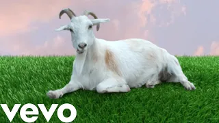 If I Put You in A Goat - Vickiahna (Official Music Video)