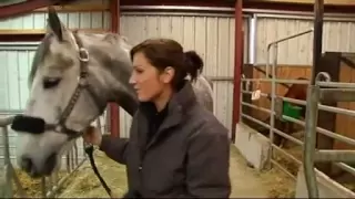 Sonia réalise son rêve, avoir son propre cheval