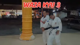 Waza Kyu 3 | Shorinji Kempo