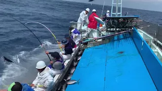 第11幸丸　鰹船　鰹一本釣り　五島列島