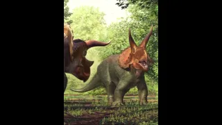 Triceratops Vs Nasutoceratops #dinosaurs #triceratops #nasutoceratops #vs