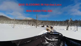 Dog Sledding _ KANATHA-AKI