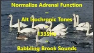 🎵 Normalize Adrenal Flow~Alt Isochronic Tones~Babbling Brook Sounds