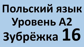 Зубрёжка Польский язык Уровень А2 Урок 16 Польский разговорный Польские диалоги и тексты с переводом