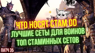 УНИВЕРСАЛЬНЫЕ СЕТЫ ДЛЯ СТАМ ДД ДД В ПАТЧЕ 36 | Затерянные Глубины| Lost Depths | TESO | ESO | ТЕСО