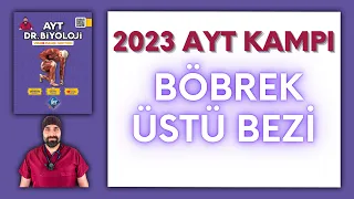 Endokrin Sistem - Böbrek Üstü Bezi AYT Biyoloji Kampı Konu Anlatımı/ 11.Sınıf 2024 Tayfa