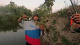 Murray cod fishing, Macquarie river Bathurst