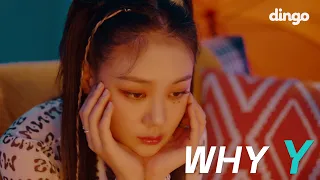 [MV] 비비(BIBI) - WHY Y (Feat. Tiger JK)